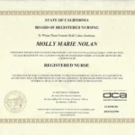 Nurse completing California RN NCLEX license online application